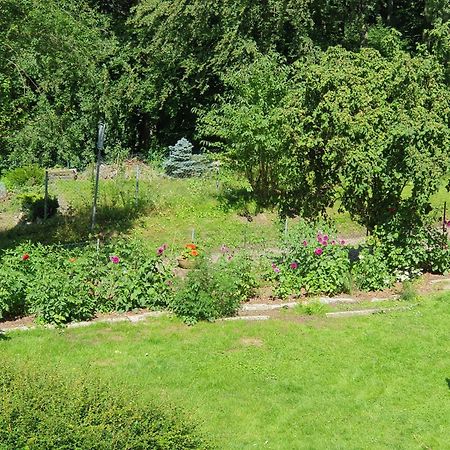 Ferienhaus In Geesthacht-Tesperhude Direkt Am Waldrand Bagian luar foto