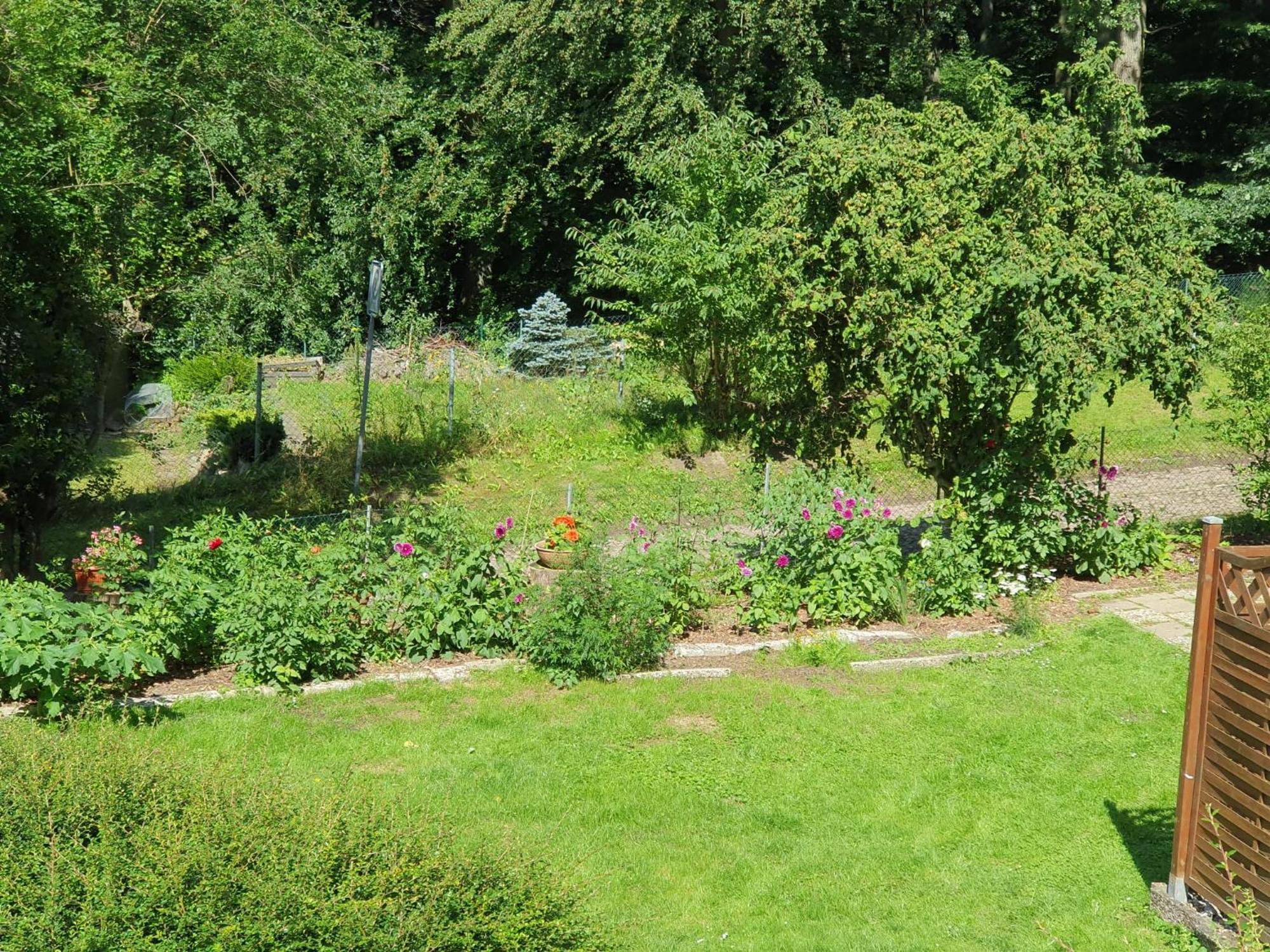Ferienhaus In Geesthacht-Tesperhude Direkt Am Waldrand Bagian luar foto