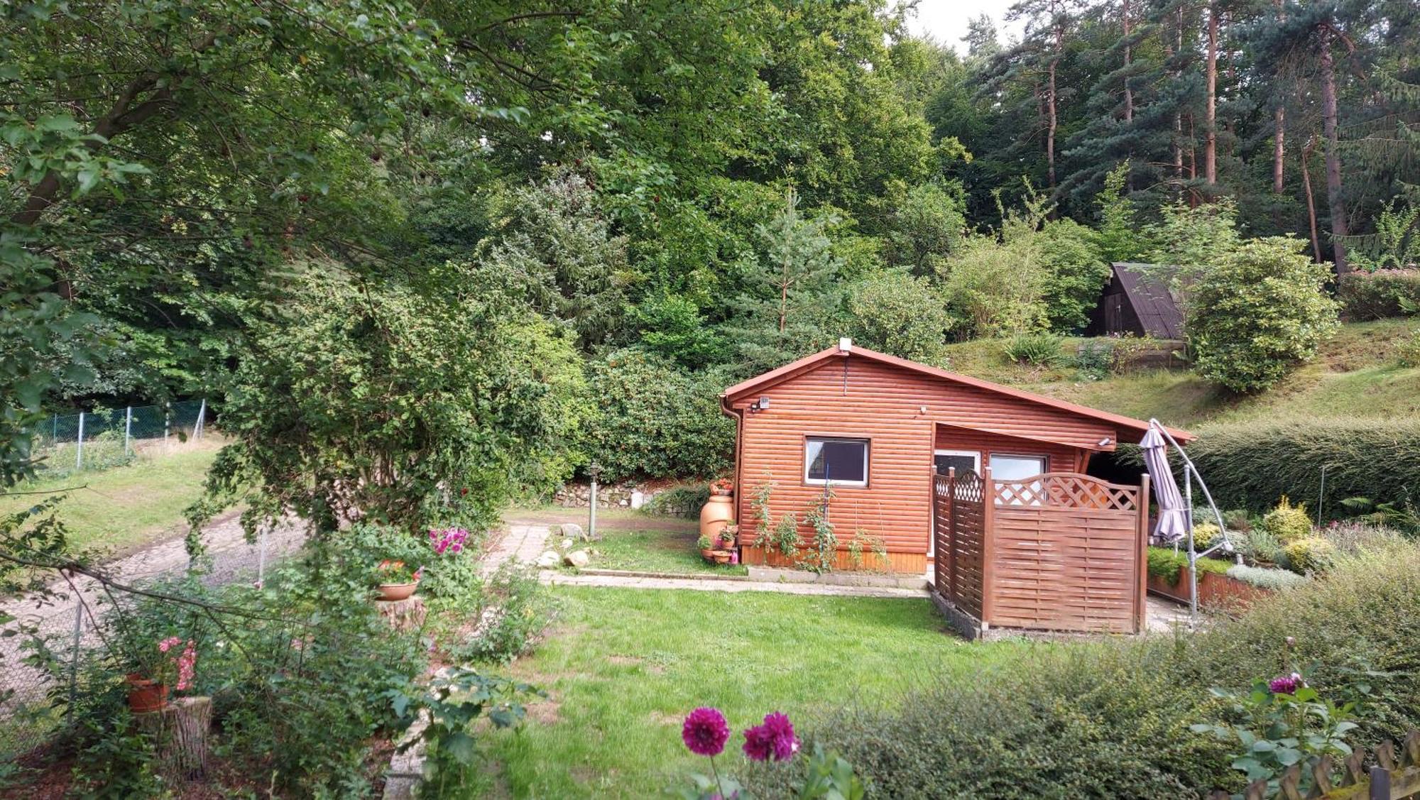 Ferienhaus In Geesthacht-Tesperhude Direkt Am Waldrand Bagian luar foto