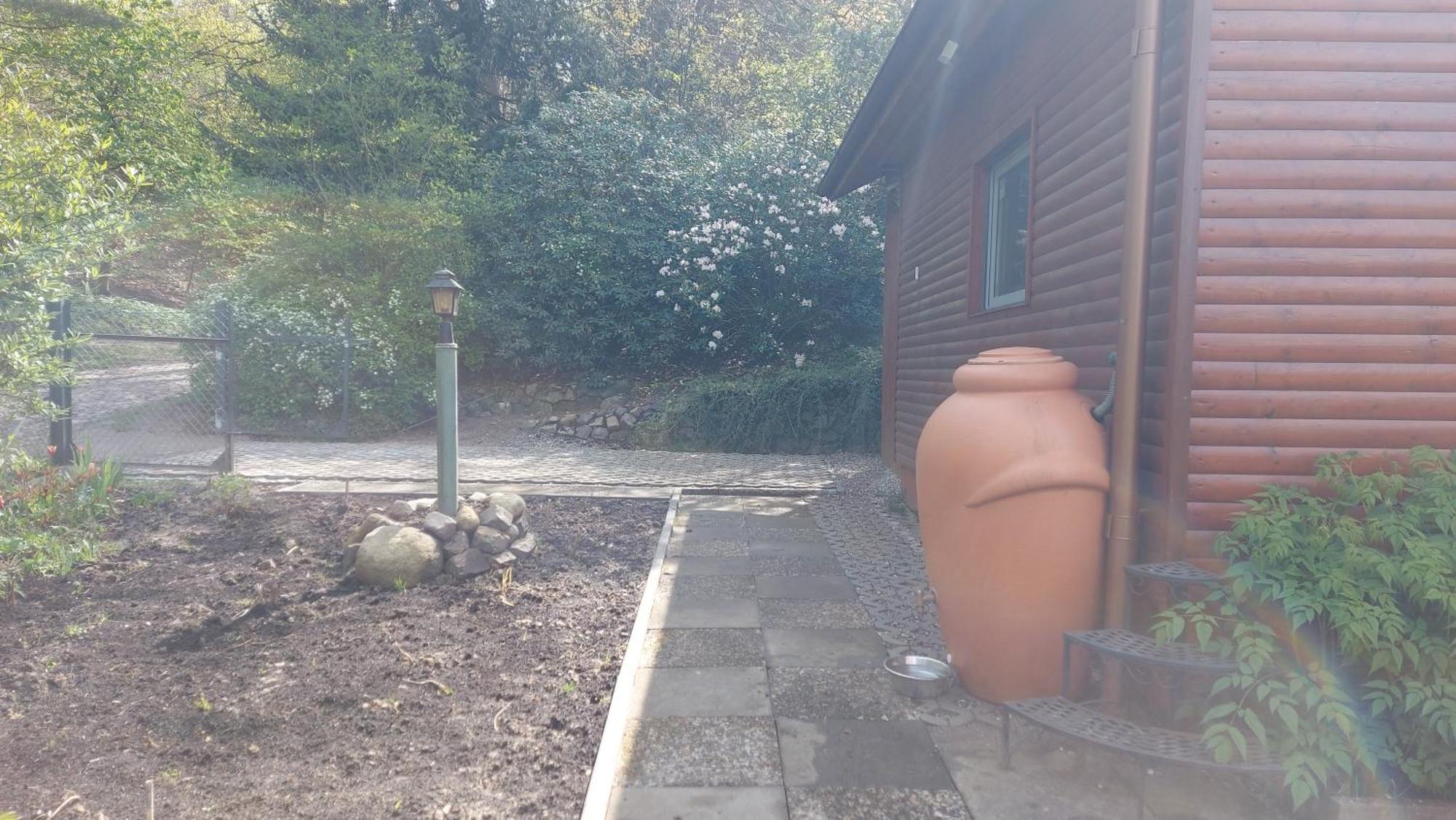 Ferienhaus In Geesthacht-Tesperhude Direkt Am Waldrand Bagian luar foto