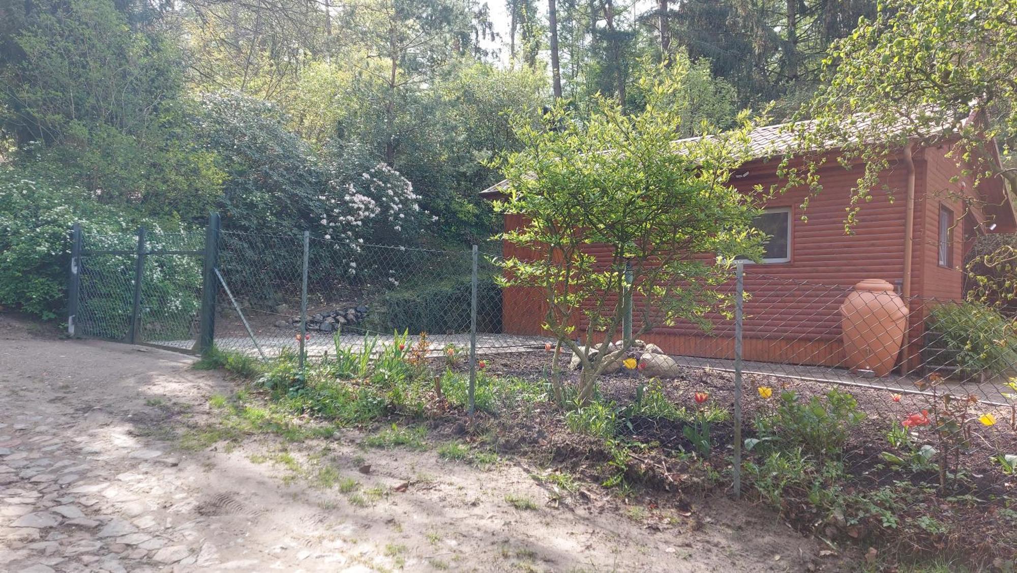 Ferienhaus In Geesthacht-Tesperhude Direkt Am Waldrand Bagian luar foto