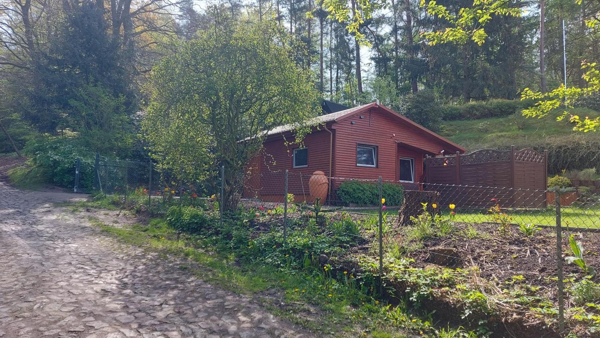 Ferienhaus In Geesthacht-Tesperhude Direkt Am Waldrand Bagian luar foto